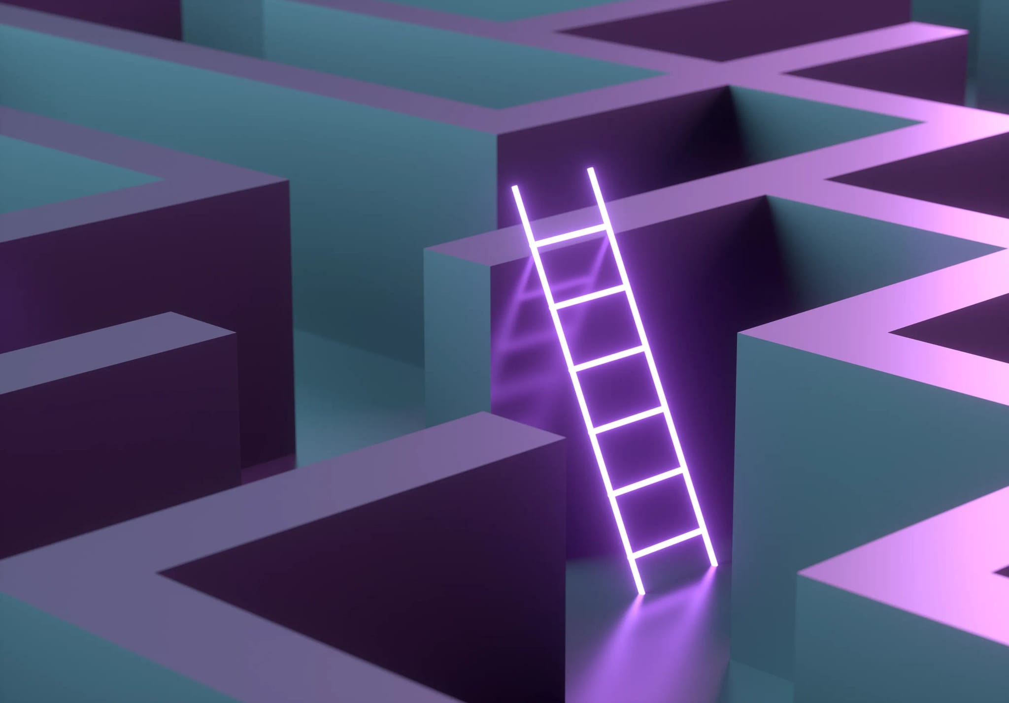 banner_project